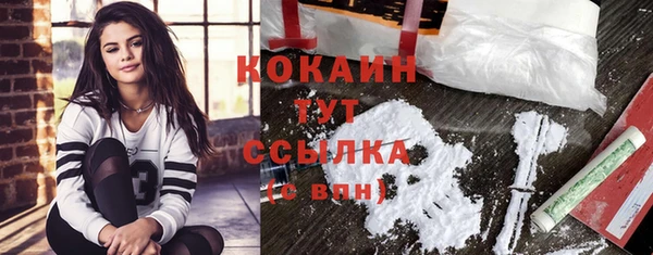 крисы Белоозёрский