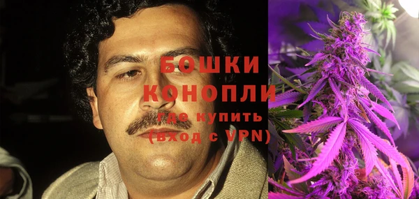 крисы Белоозёрский